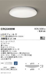 ERG5499W