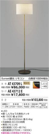 AT43709L