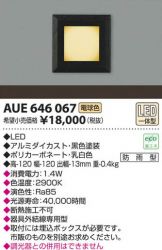 AUE646067