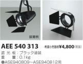 AEE540313