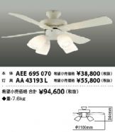AEE695070-AA43193L