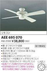 AEE695070