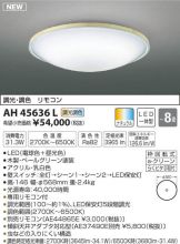 AH45636L