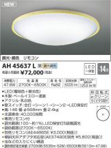 AH45637L