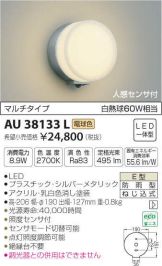 AU38133L
