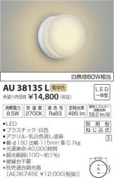 AU38135L