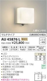 AU45876L