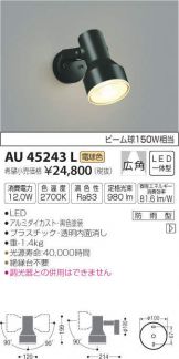 AU45243L