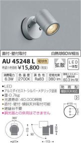 AU45248L