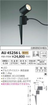 AU45256L