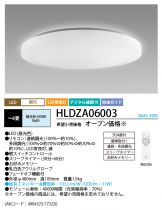 HLDZA06003