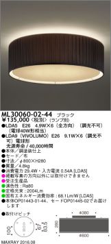 ML30060-02-44