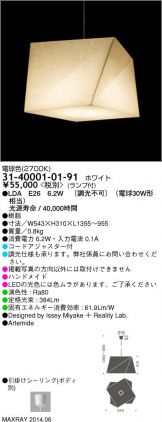 31-40001-01-91