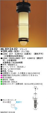 ML30124-02