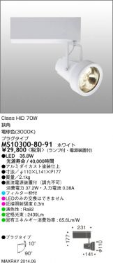 MS10300-80-91
