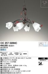 OC257028NC