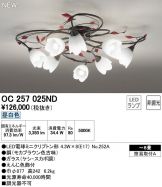 OC257025ND
