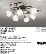 OC257026ND