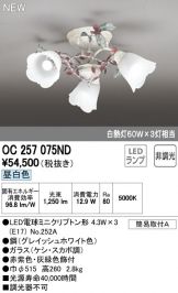 OC257075ND