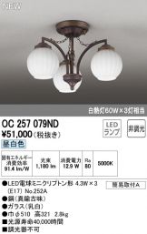 OC257079ND