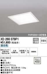 XD266079P1