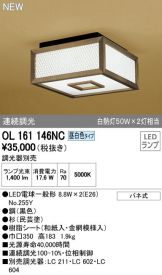 OL161146NC