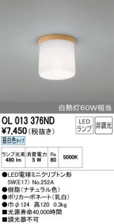 OL013376ND