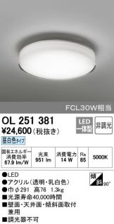 OL251381