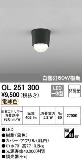 OL251300
