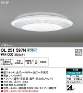 OL251597N