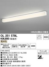 OL251579L