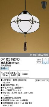 OP125022NC