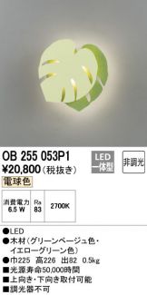 OB255053P1