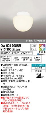 OW009095BR