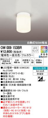 OW009153BR