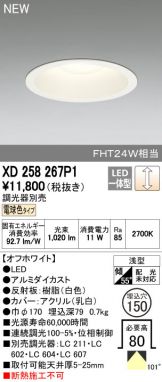XD258267P1