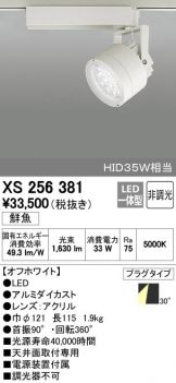 XS256381