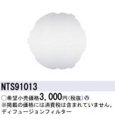 NTS91013