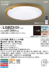 LGBZ3131