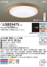 LGBZ4473
