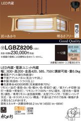 LGBZ8206