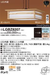LGBZ8207