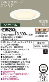 HEW6203E