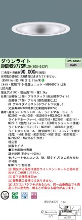XNDN9977SWLZ9