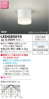 LEDG85019