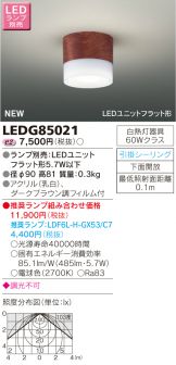 LEDG85021