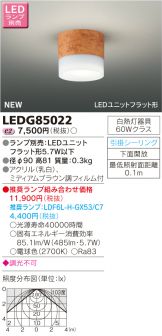 LEDG85022
