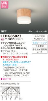 LEDG85023