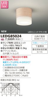 LEDG85024