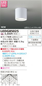 LEDG85025